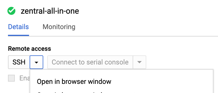 open ssh in browser window